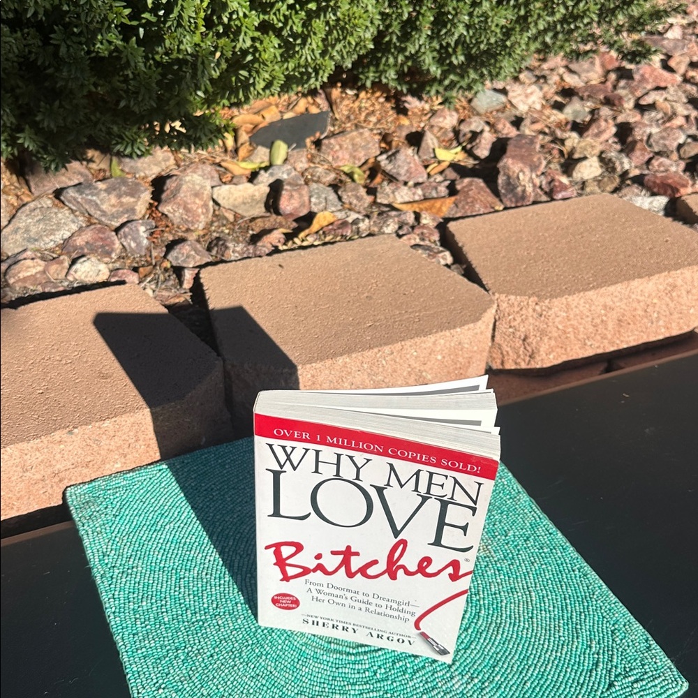 Book “Why Men Love…”-Sherry Agrov-brand new/never used-was a decoration. - Picture 7 of 17
